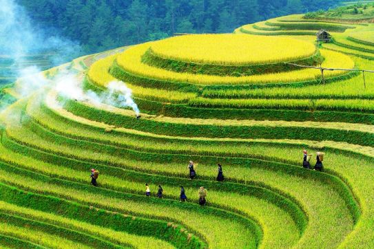 Explore the Mu Cang Chai terraced field festival